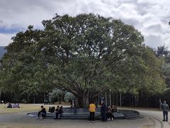 -深圳仙湖植物园