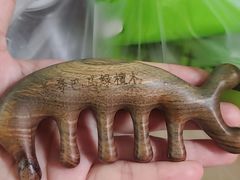 -长寿村