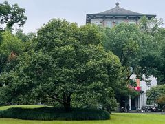 -浙江大学(玉泉校区)