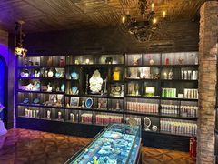 -雪灵魔法世界SHELLY’S TAROT(大良桂畔里店)
