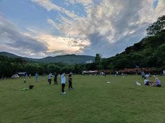 -大屏嶂森林公园