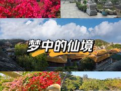 -仙岳公园