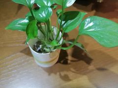 -学习谷日语培训日本留学·多语种外语教学(海淀人大分部)