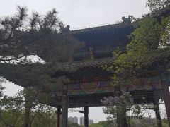 -二一九公园