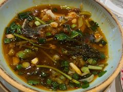 -费明中罗非鱼(大石坝店)
