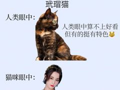 -莘程宠物医院(金山店)