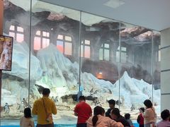 -帝企鹅自助餐厅•儿童岛•真企鹅(长隆企鹅酒店)