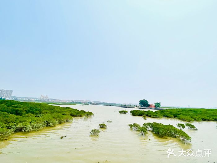 洛阳桥图片