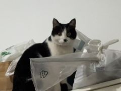 -心仪动物医院·牙专科·肿瘤·心脏科(西客站院)