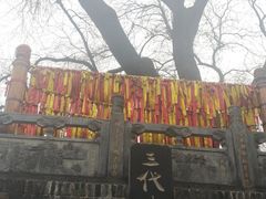 -大槐树寻根祭祖园