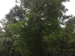 -天目湖御水温泉·度假酒店