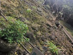 -海口火山口国家地质公园