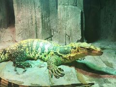 -济南野生动物世界