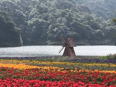 -广州市石门国家森林公园