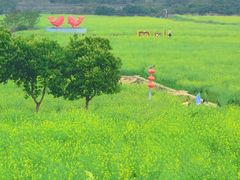 -光明小镇欢乐田园