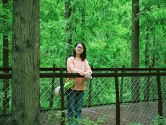 -黄海国家森林公园