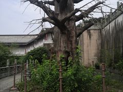 -南京市江宁方山