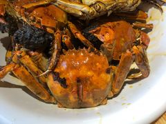 -猫姑娘大盘鸡(商城路店)