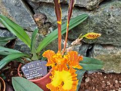 -新竹里馆·花园餐厅(兴苑路店)