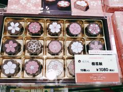 -关西国际机场直营免税店