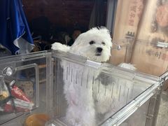 -龙湖杭州滨江天街