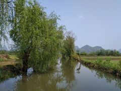 -会仙湿地