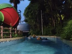 -重庆海昌加勒比海水世界