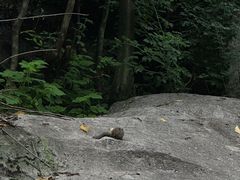 -秦岭终南山世界地质公园翠华山景区
