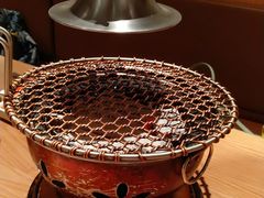 -吉丁鸟咖·异宠·寄养