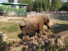 -西安秦岭野生动物园