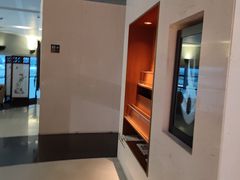 -虹桥机场国航贵宾室v8