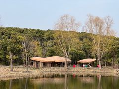 -同里国家湿地公园