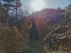 -秦岭风景区