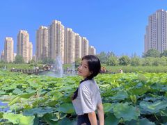 -前关湿地公园