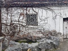 -苏州园林博物馆