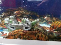 -盒马鲜生(新都心店)