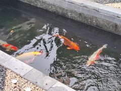 -西安市广仁寺