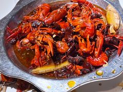 龙虾-大孩龙虾(体育场旗舰店)