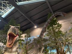 -湖南省地质博物馆