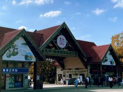 -上海海湾国家森林公园