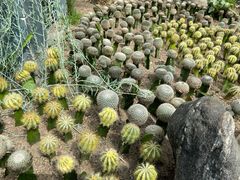 -南山植物园
