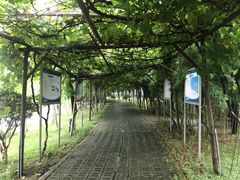 -上膳源有机农场