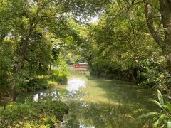 -西溪国家湿地公园