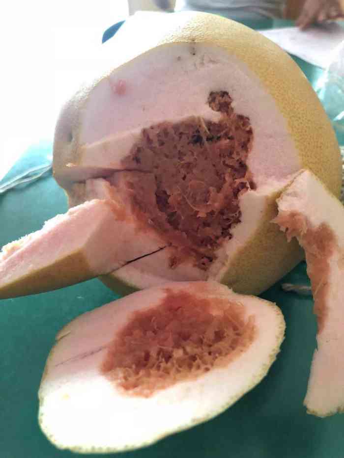 打分 这就是你们家的柚子,还有蛆,太恶心了,可以骂人吗?