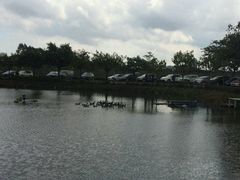 android_upload_pic-小塘渔村(开平大道店)