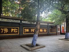 -哈尔滨极乐寺