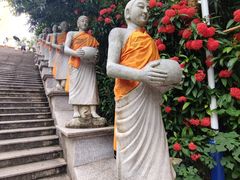 -西双版纳勐泐文化旅游区