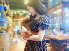 -more than meow吴止猫主题餐厅(承德 中船汇店)