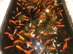 -黄家码头老火锅(解放碑旗舰店)