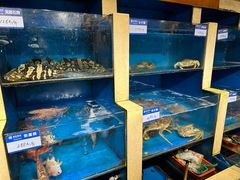 -鹰龙海畔度假酒店(咸祥店)